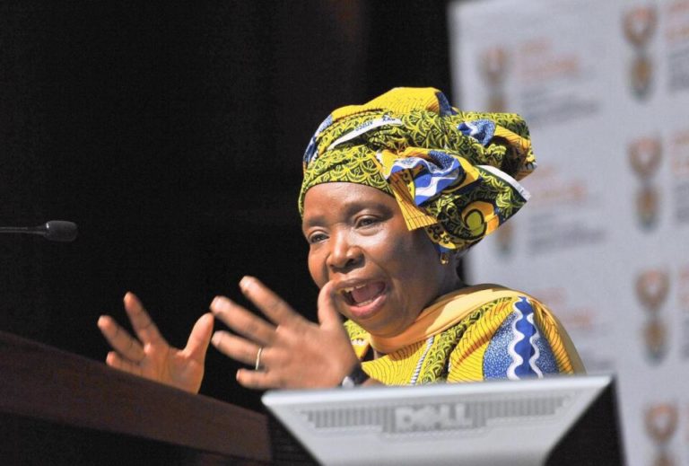 Level 2 regulations have been gazetted - Dlamini Zuma - DFA