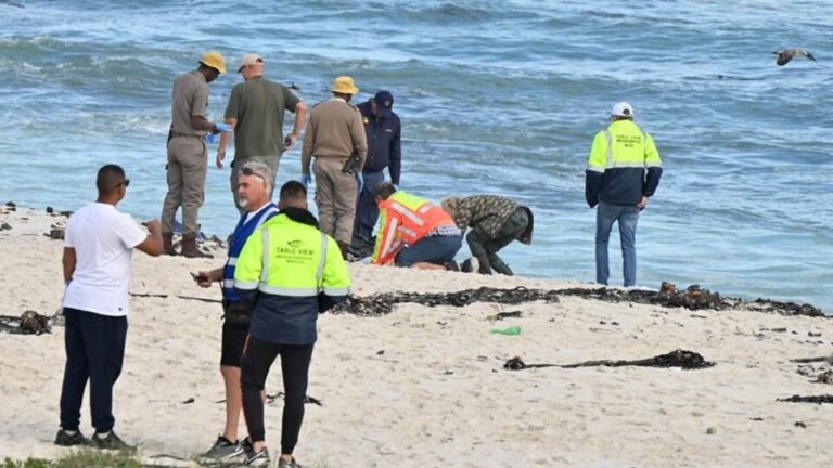 Missing NC man’s body washes up on Cape beach - DFA