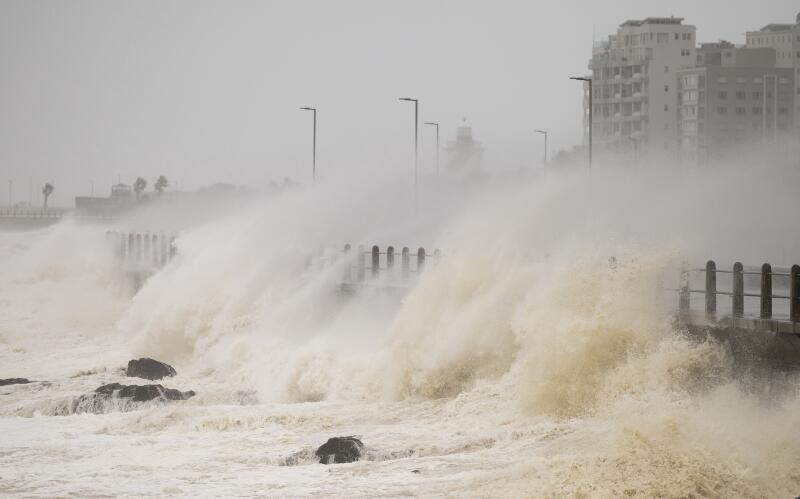 Storms lash Cape: People and animals are suffering, in need of help - DFA